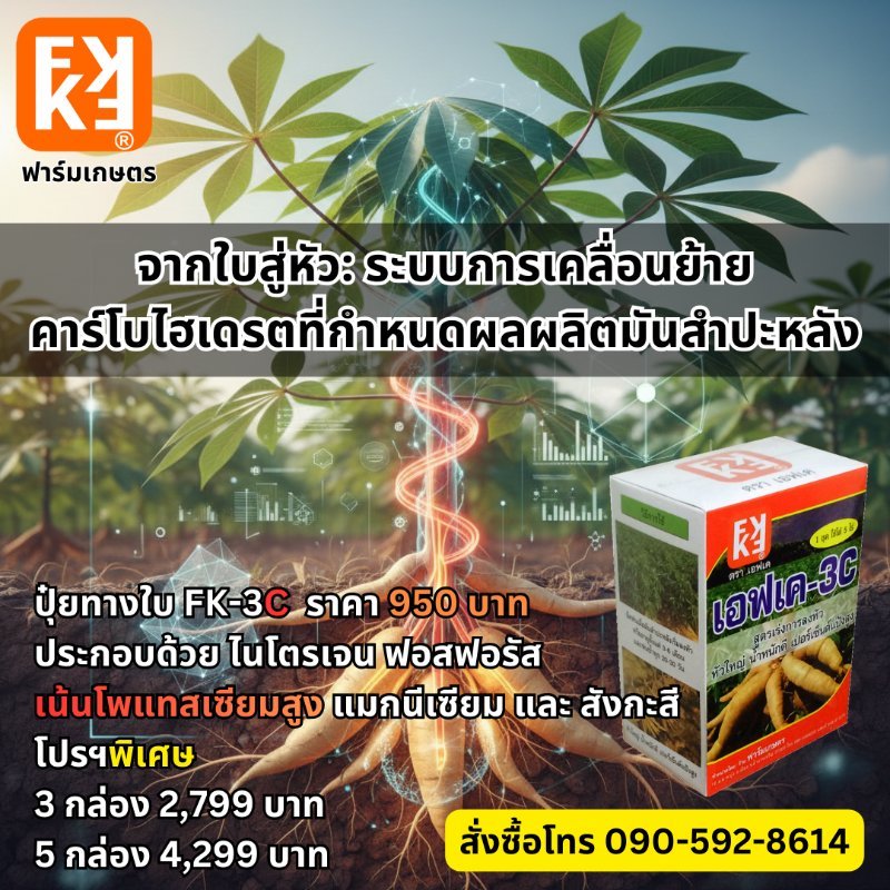 รูปภาพประกอบ