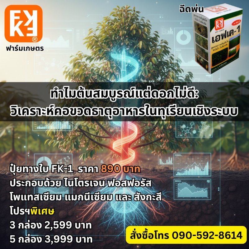 รูปภาพประกอบ