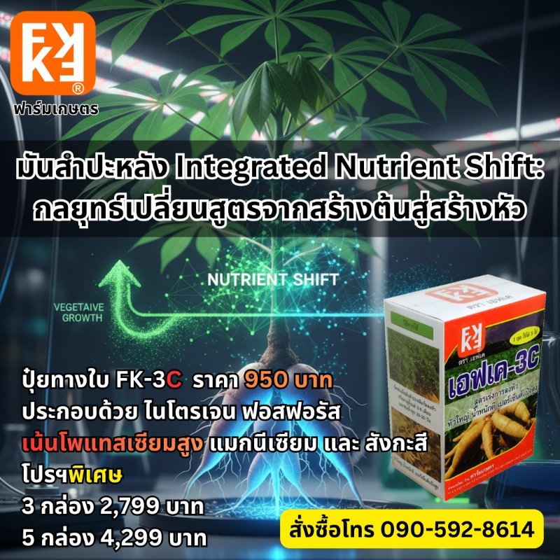 รูปภาพประกอบ