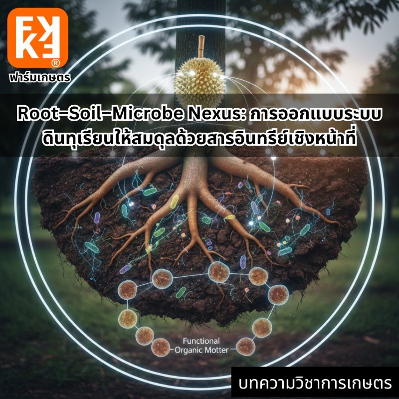 รูปภาพประกอบ