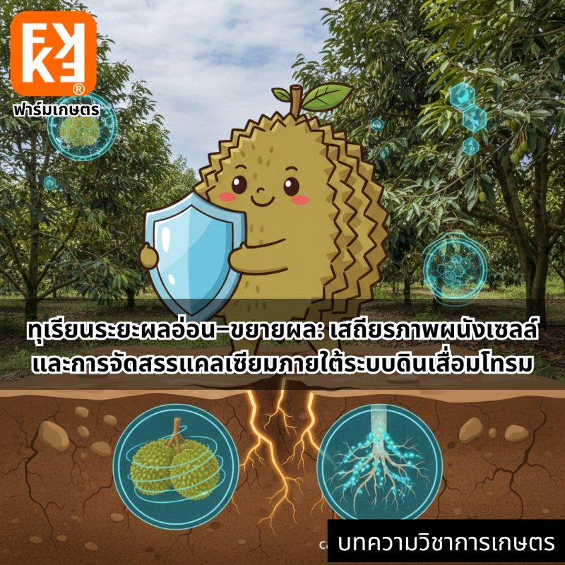 รูปภาพประกอบ