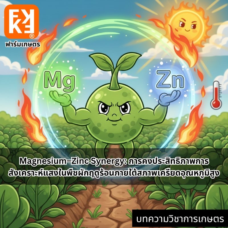 รูปภาพประกอบ