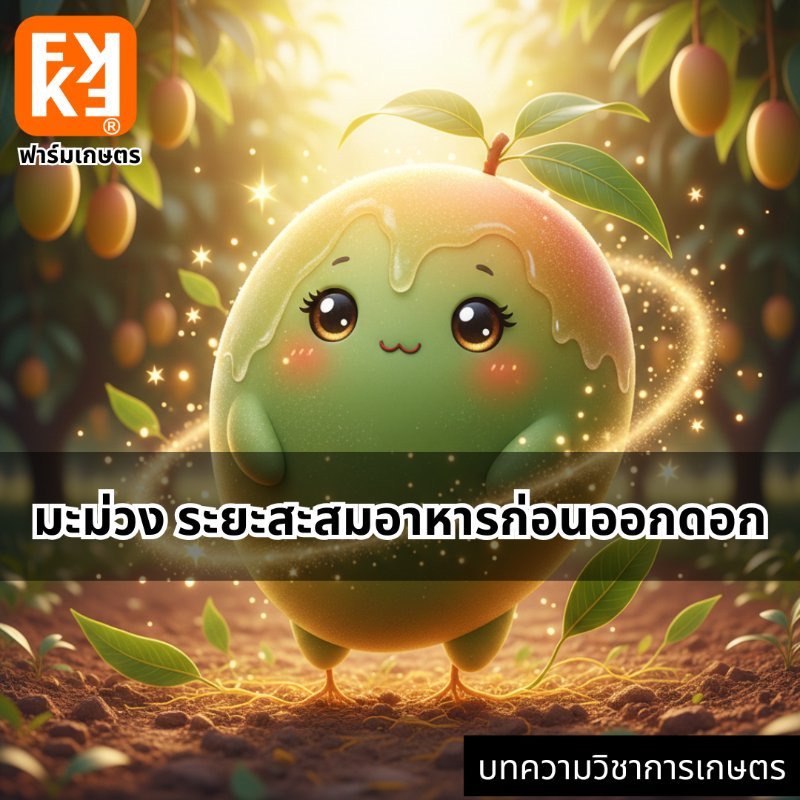 รูปภาพประกอบ