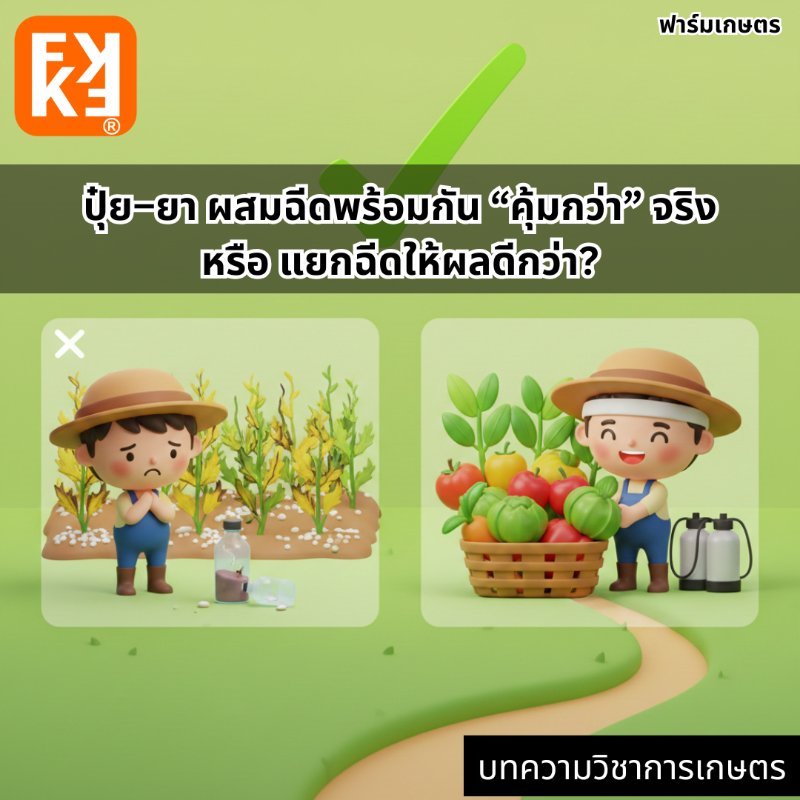 รูปภาพประกอบ