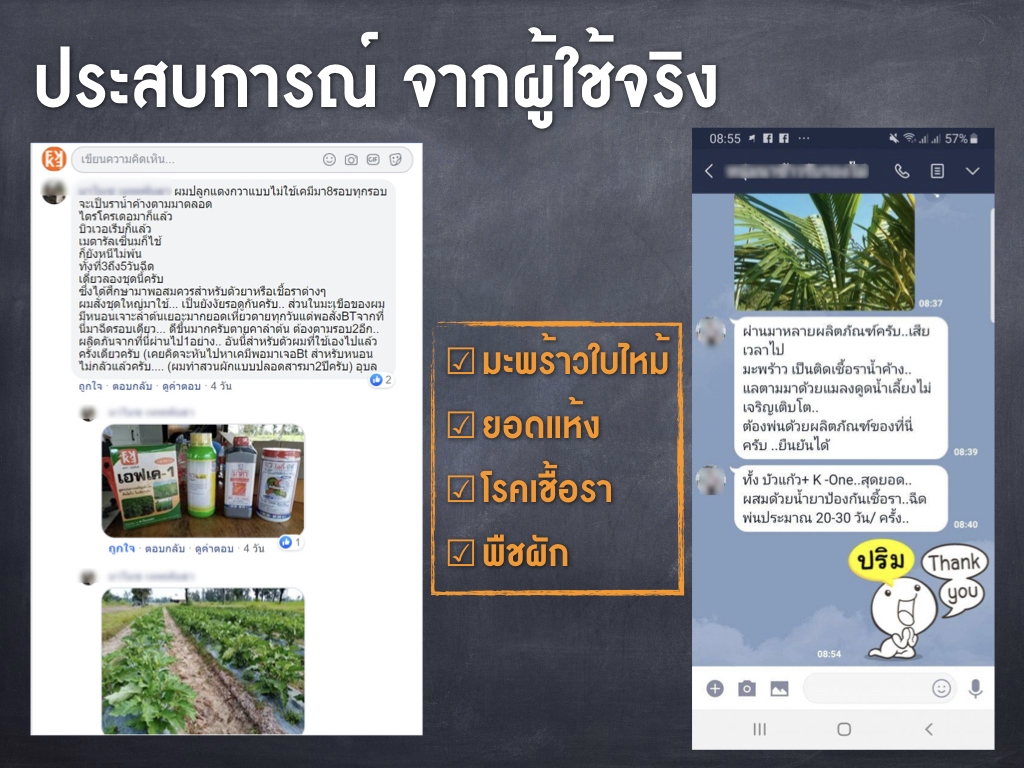 ประสบการผู้ใช้ ยาอินทรีย์