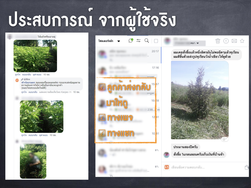 ยาอินทรีย์ดีดี