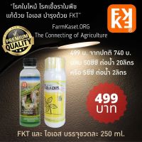 FKT250-IS250-499B