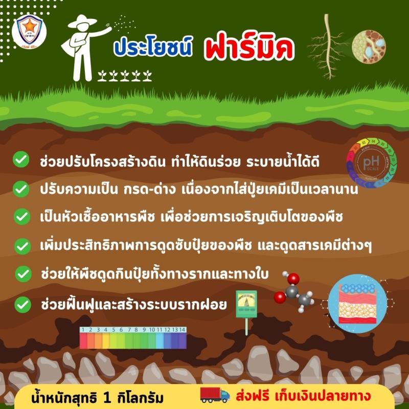 สารฟื้นฟูระบบรากและปลดปล่อยธาตุอาหารในดิน สำหรับต้นดอกดาวเรือง