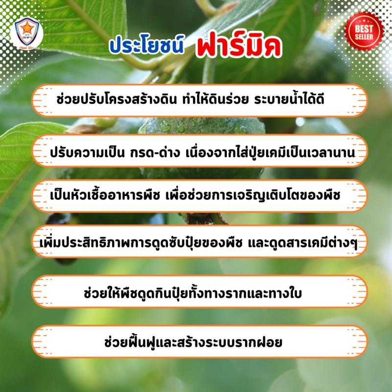  ฮิวมิค แอซิด ฟาร์มิค - ความสามารถในการฟื้นฟูระบบรากและเพิ่มประสิทธิภาพการเจริญเติบโตของต้นฝรั่ง