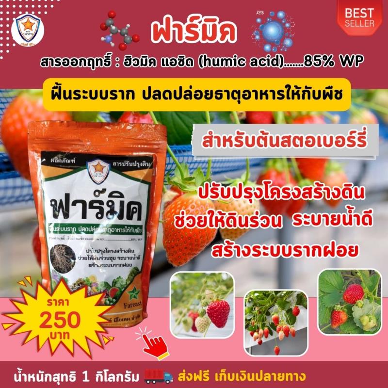 ฮิวมิค แอซิด ของยี่ห้อ ฟาร์มิค - เพื่อฟื้นฟูระบบรากและพัฒนาต้นสตรอเบอร์รี