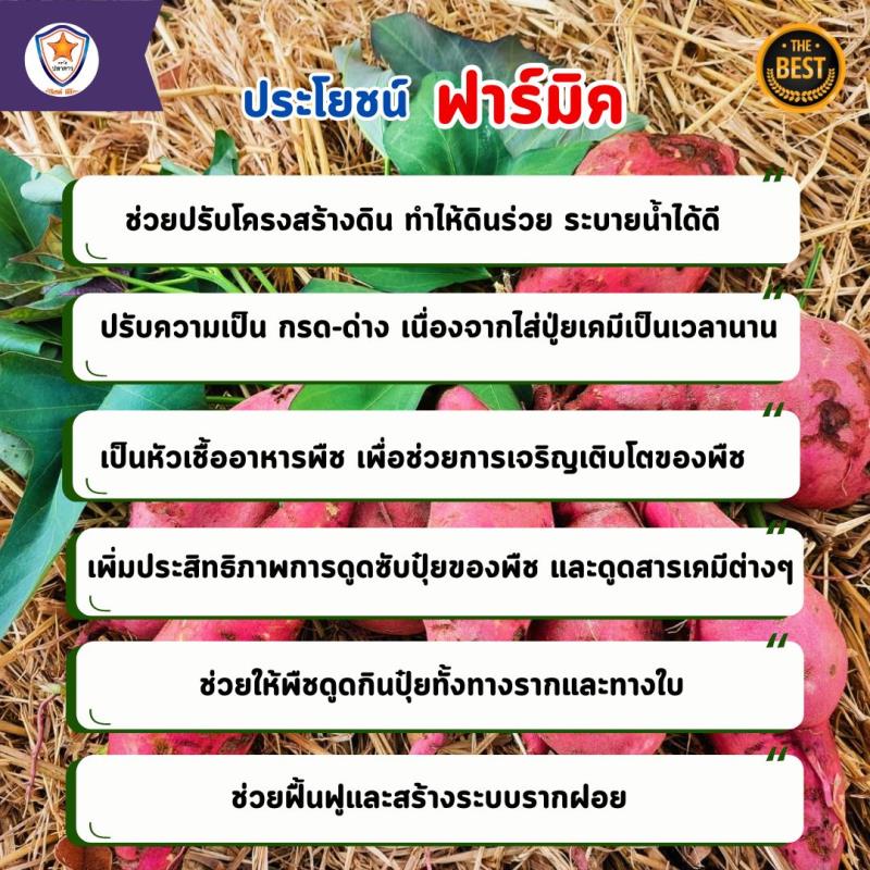 ฮิวมิค แอซิด: สารออกฤทธิ์ที่พัฒนาดินและเพิ่มผลผลิตในการปลูกมันเทศ