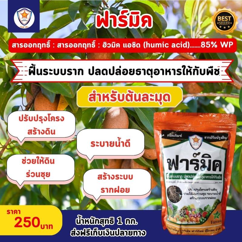 ฮิวมิค แอซิด ฟาร์มิค - สมดุลระบบดินสู่การเจริญเติบโตของพืช สำหรับต้นละมุด