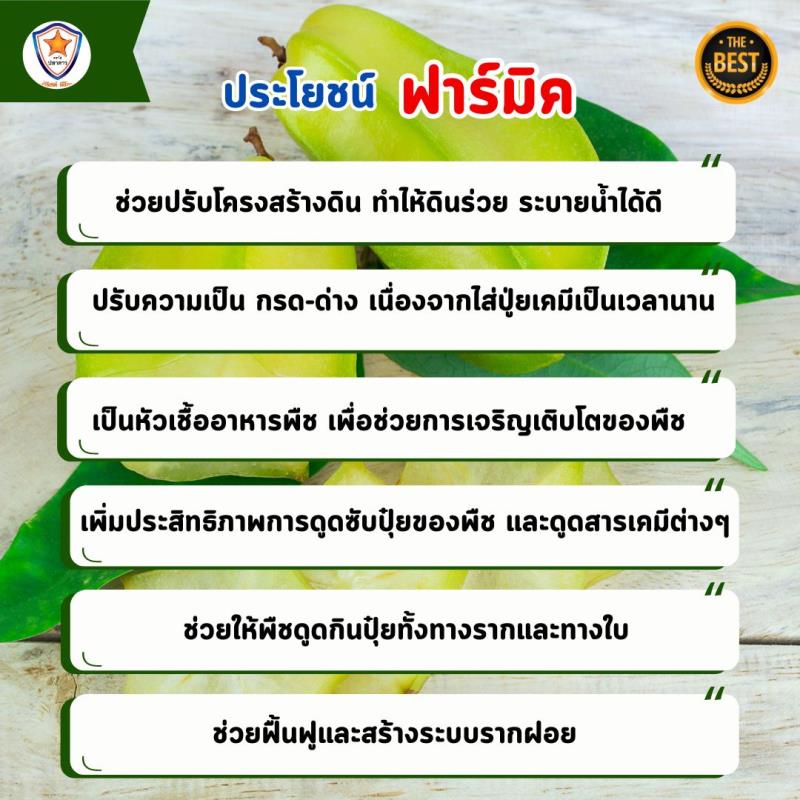 ฟื้นระบบรากและปรับปรุงดินในการปลูกมะเฟือง-ฮิวมิค แอซิด ฟาร์มิค