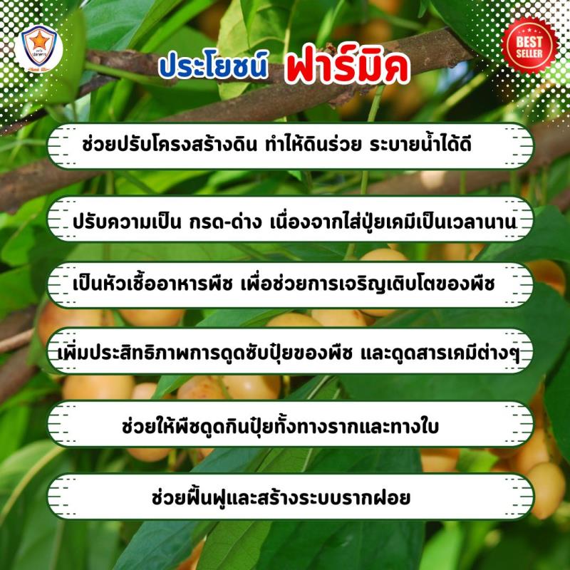 การฟื้นฟูระบบรากและปรับปรุงดินสำหรับมะไฟ ฮิวมิค แอซิด ฟาร์มิค
