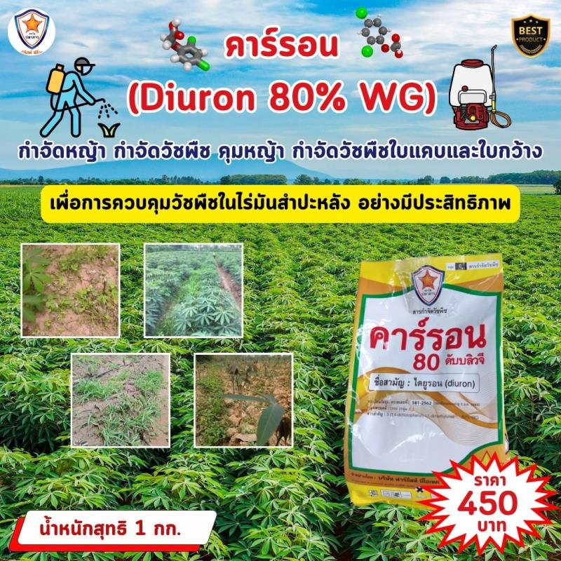 การควบคุมหญ้าและวัชพืชในไร่มันสำปะหลังด้วยคาร์รอน (Diuron 80% WG)