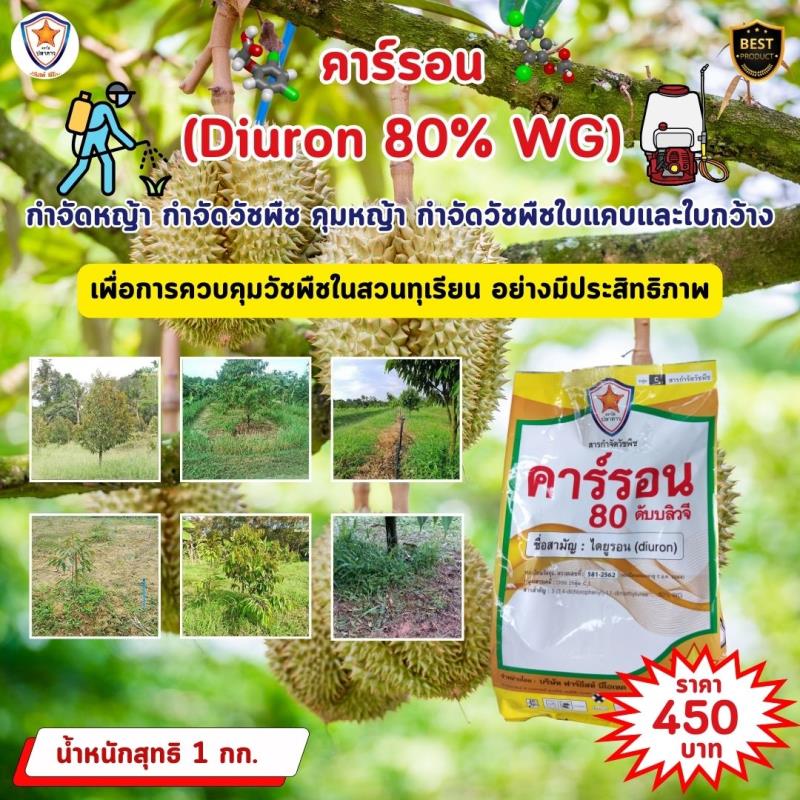 การควบคุมหญ้าในสวนทุเรียนด้วยคาร์รอน (Diuron 80% WG)