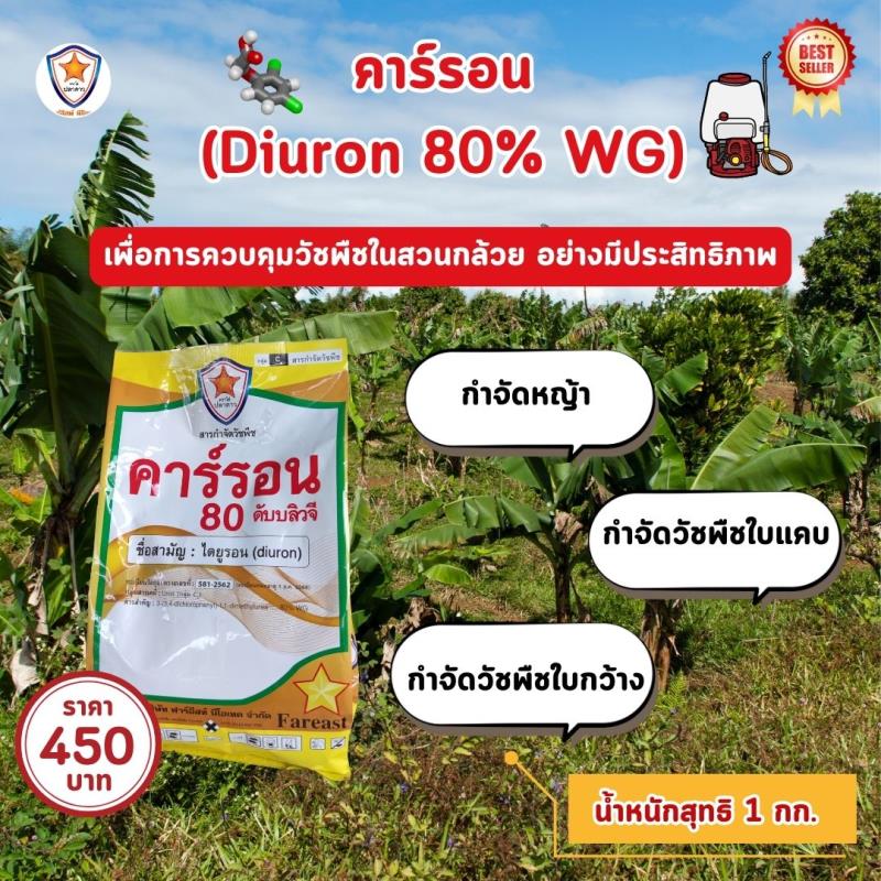 การควบคุมวัชพืชในสวนกล้วย การใช้คาร์รอน (Diuron 80% WG)