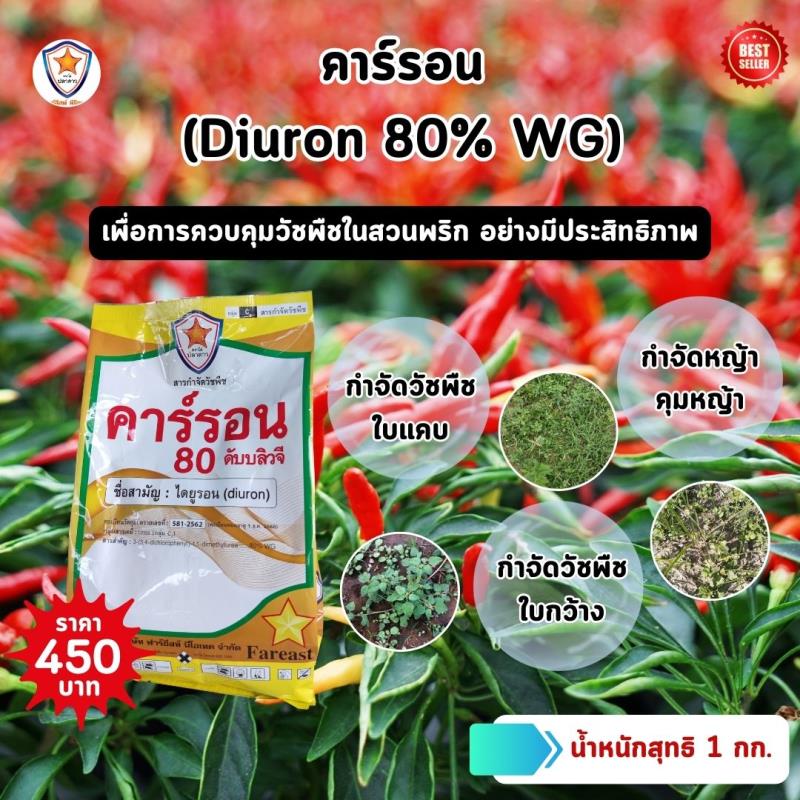 ควบคุมวัชพืชในสวนพริกด้วยคาร์รอน (Diuron 80% WG): กลยุทธ์ที่มีประสิทธิภาพในการควบคุมและรักษาสวนพริก