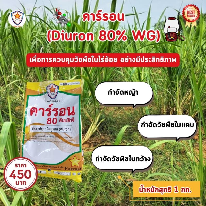 ควบคุมอ้อยอย่างมีประสิทธิภาพ: กำจัดหญ้าและวัชพืชด้วยคาร์รอน (Diuron 80% WG)