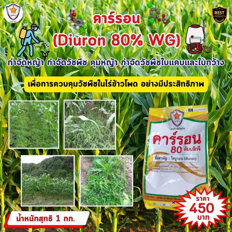 การใช้คาร์รอน (Diuron 80% WG) เพื่อควบคุมวัชพืชในไร่ข้าวโพด