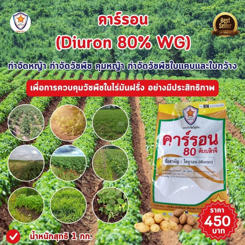  การใช้คาร์รอน (Diuron 80% WG) เพื่อกำจัดหญ้าและวัชพืชในไร่มันฝรั่ง