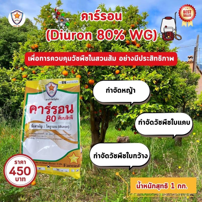 การกำจัดวัชพืชที่มีประสิทธิภาพ คาร์รอน (Diuron 80% WG) สู่สวนส้ม