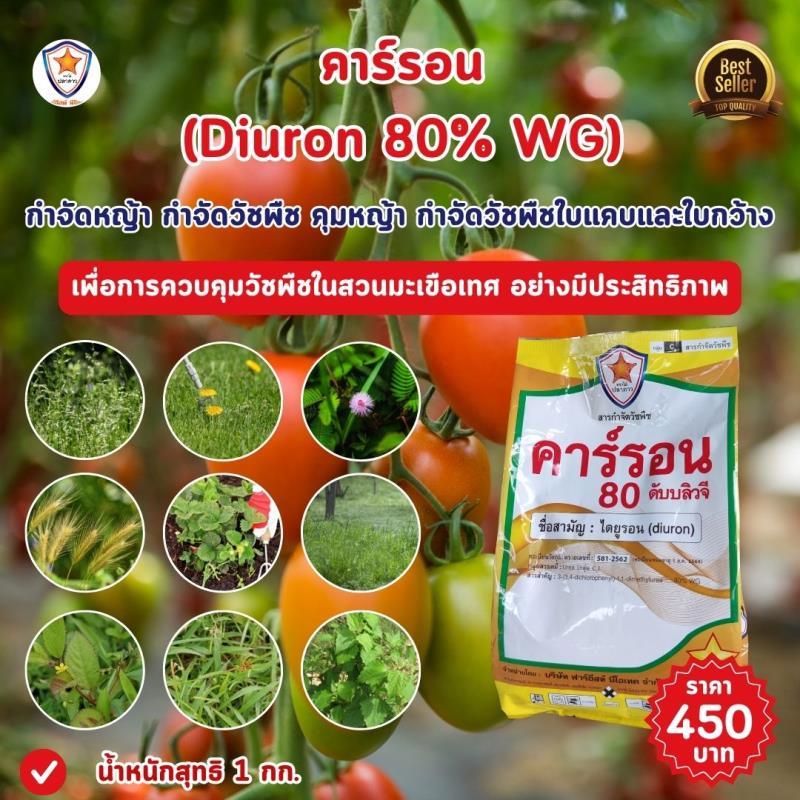 การใช้คาร์รอน (Diuron 80% WG) เพื่อควบคุมหญ้าและวัชพืชในสวนมะเขือเทศ