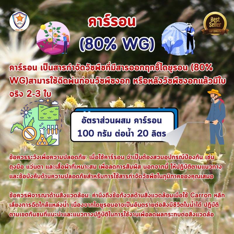 การใช้คาร์รอน (Diuron 80% WG) เพื่อควบคุมหญ้าและวัชพืชในสวนมะเขือเทศ