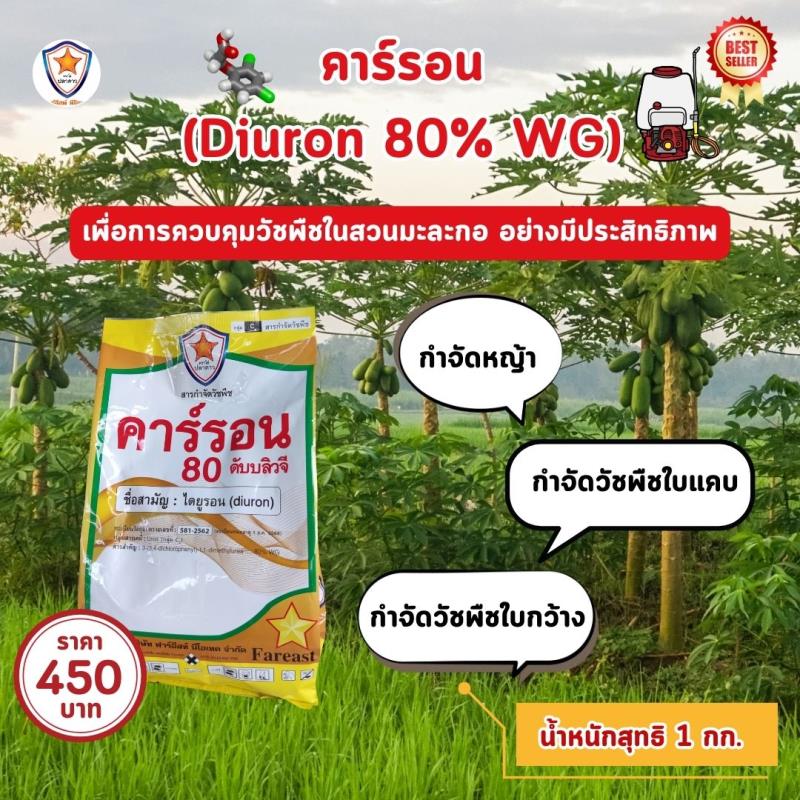 การใช้คาร์รอน (Diuron 80% WG) ในการกำจัดหญ้าและวัชพืชในสวนมะละกอ