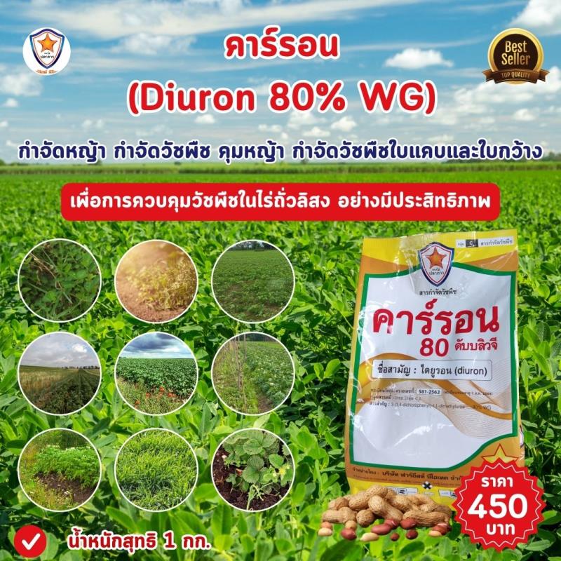 ควบคุมวัชพืชในไร่ถั่วลิสงด้วยคาร์รอน (Diuron 80% WG): วิธีการและคำแนะนำ