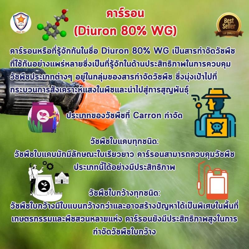 ควบคุมวัชพืชในไร่ถั่วลิสงด้วยคาร์รอน (Diuron 80% WG): วิธีการและคำแนะนำ