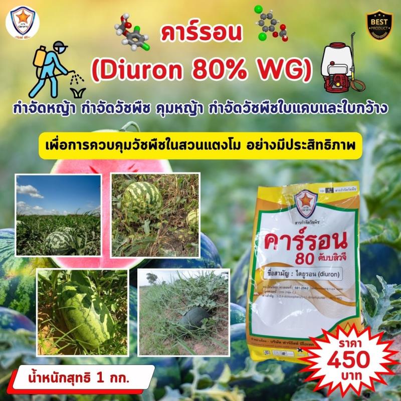 การใช้คาร์รอน (Diuron 80% WG) ในการควบคุมวัชพืชในสวนแตงโม