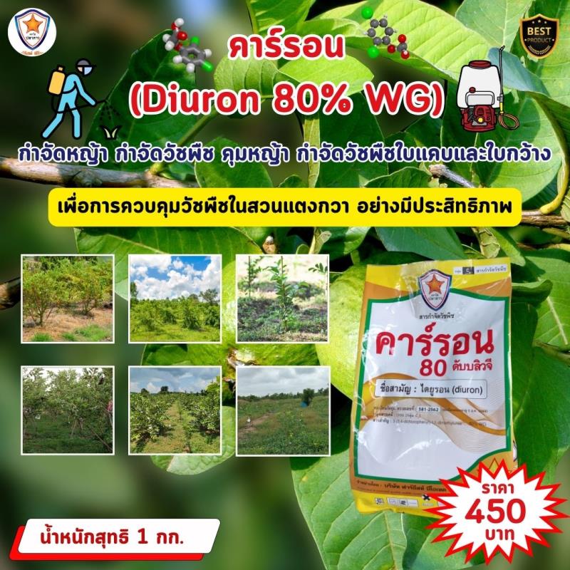 การควบคุมหญ้าและวัชพืชในสวนฝรั่งด้วยคาร์รอน (Diuron 80% WG)