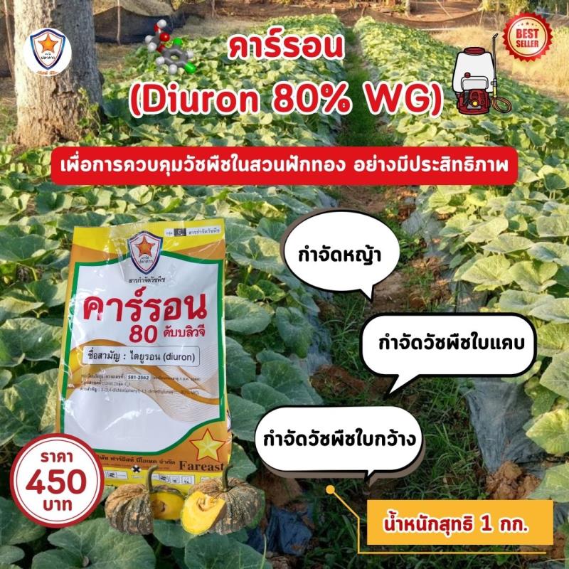 การใช้คาร์รอน (Diuron 80% WG) ในกำจัดหญ้าและวัชพืชในสวนฟักทอง