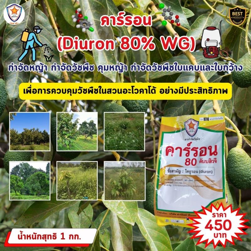 กำจัดวัชพืชในสวนอะโวคาโด้ด้วยคาร์รอน (Diuron 80% WG)