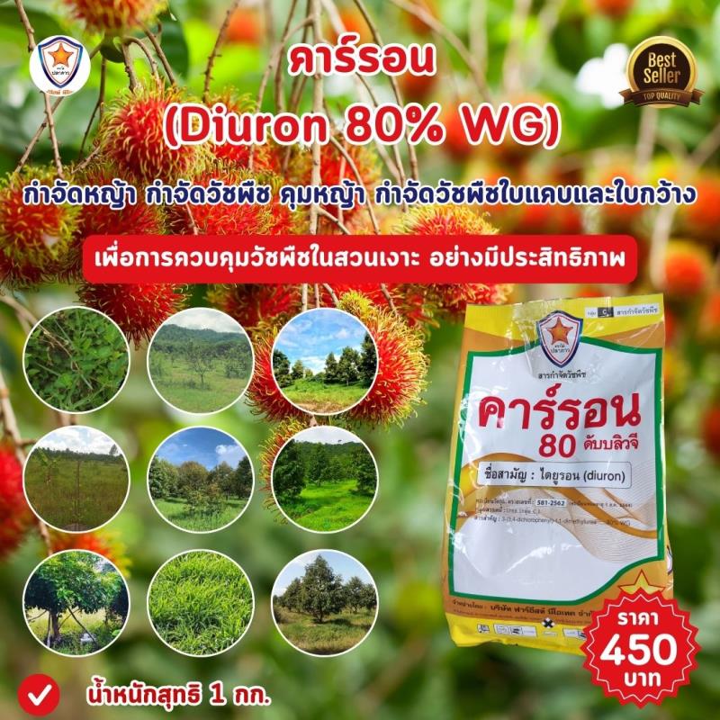  การควบคุมวัชพืชในสวนเงาะด้วยคาร์รอน (Diuron 80% WG)