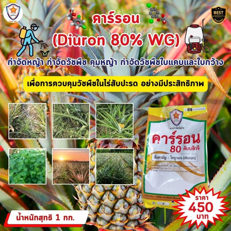 การควบคุมวัชพืชด้วยคาร์รอน (Diuron 80% WG) ในไร่สับปะรด