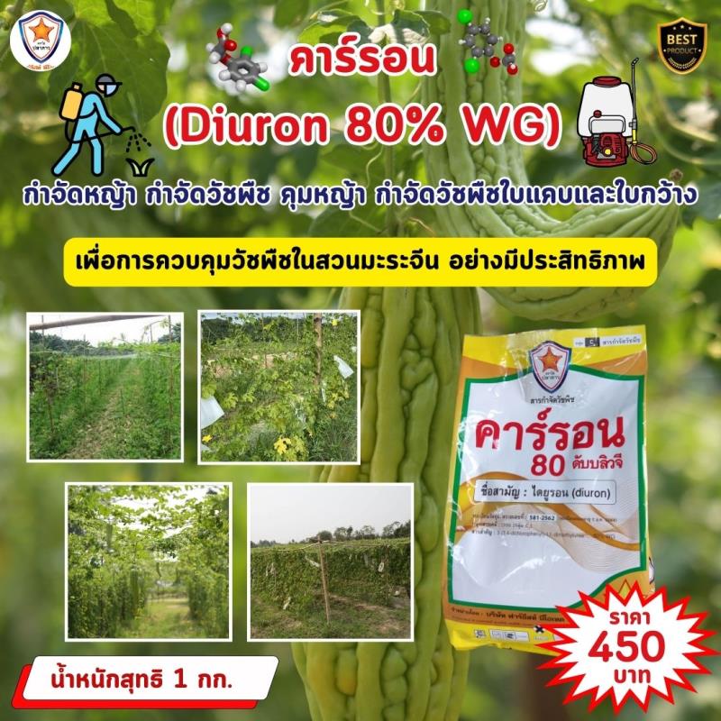 การใช้คาร์รอน (Diuron 80% WG) เพื่อควบคุมหญ้าและวัชพืชในสวนมะระจีน