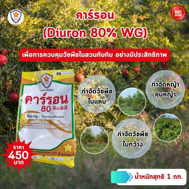 ควบคุมวัชพืชในสวนทับทิมด้วยคาร์รอน (Diuron 80% WG): วิธีการและประสิทธิภาพที่สูง