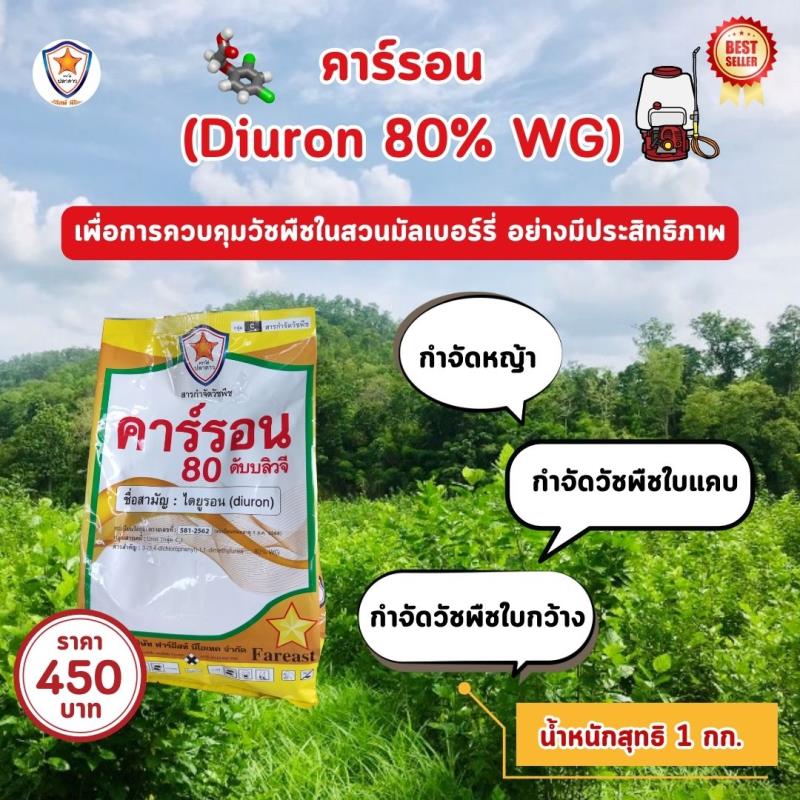 กำจัดหญ้าและวัชพืชในสวนมัลเบอร์รี่ด้วยคาร์รอน (diuron 80% wg)