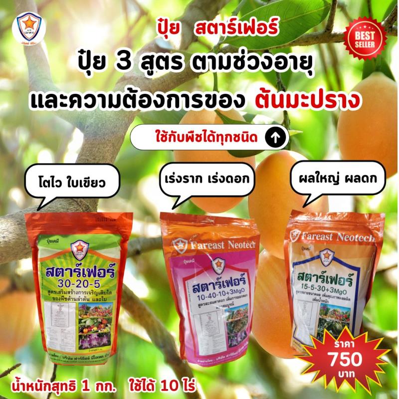 ปุ๋ยสตาร์เฟอร์ 3 สูตร: สำหรับมะปรางทุกช่วงอายุ สุขภาพแข็งแรง และเพิ่มผลผลิตด้วยปุ๋ยสตาร์เฟอร์ 3 สูตร