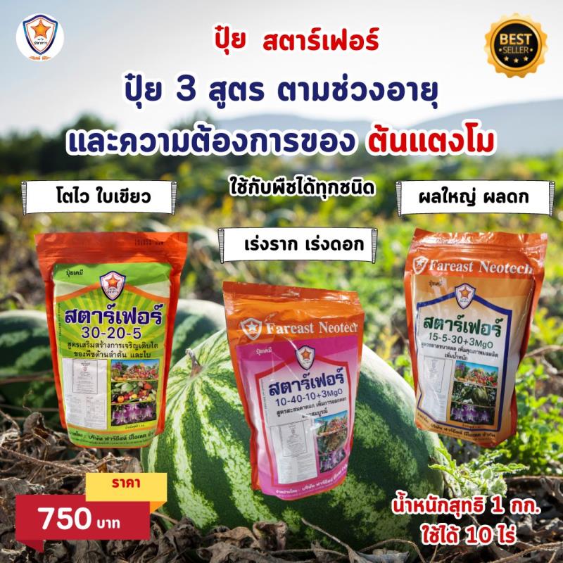 ปุ๋ยสตาร์เฟอร์ 3 สูตร: เสริมสร้างความสมบูรณ์แบบที่ช่วยสนับสนุนการเจริญเติบโตของแตงโม