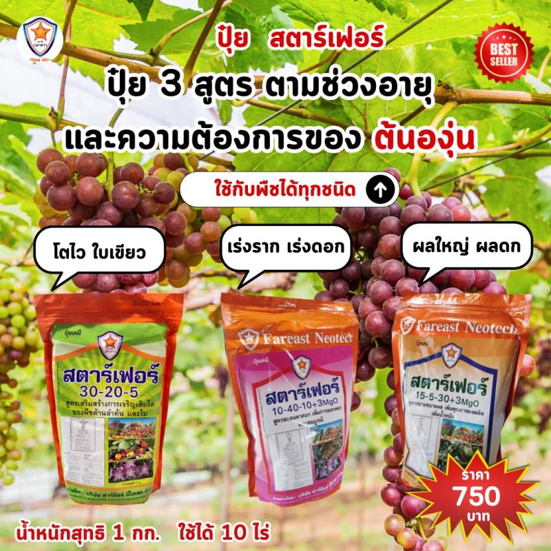 ปุ๋ยสตาร์เฟอร์ ปุ๋ย 3 สูตร: สนับสนุนการเจริญเติบโตขององุ่นได้อย่างครบถ้วน