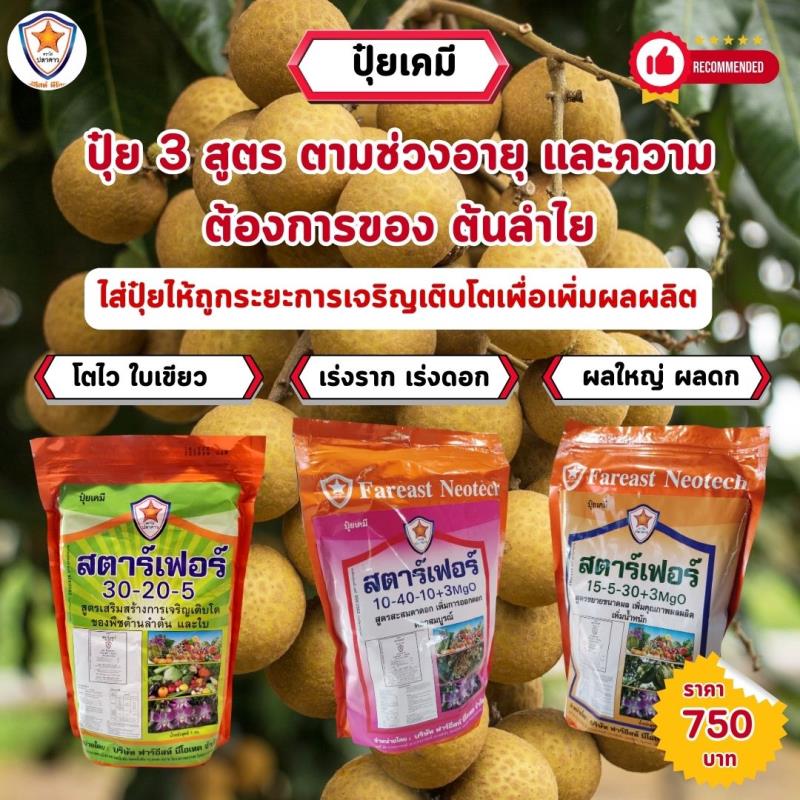 ปุ๋ยสตาร์เฟอร์ 3 สูตร: เพิ่มสมรรถภาพของต้นลำไย