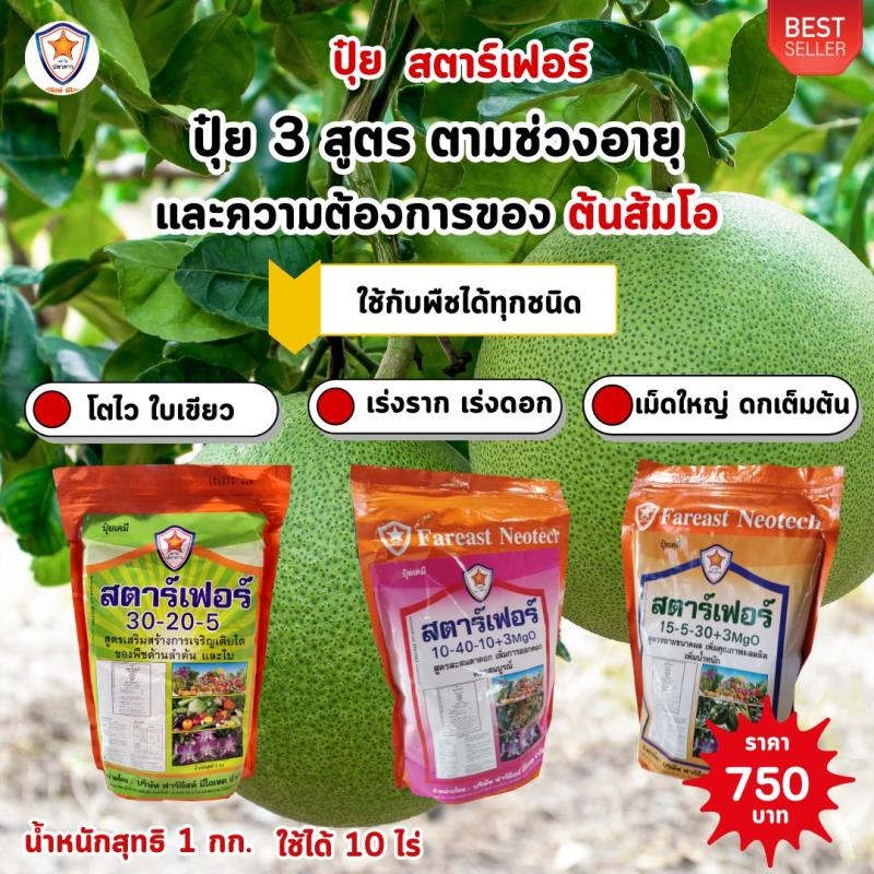 ปุ๋ยสตาร์เฟอร์ 3 สูตร: เพิ่มประสิทธิภาพการเกษตรในการปลูกส้มโอ