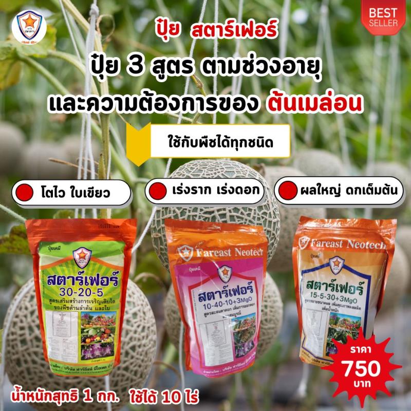 ปุ๋ยสตาร์เฟอร์ 3 สูตร: พัฒนาเมล่อนไปด้วยธาตุอาหารที่ครบถ้วนตลอดช่วงการเจริญเติบโต