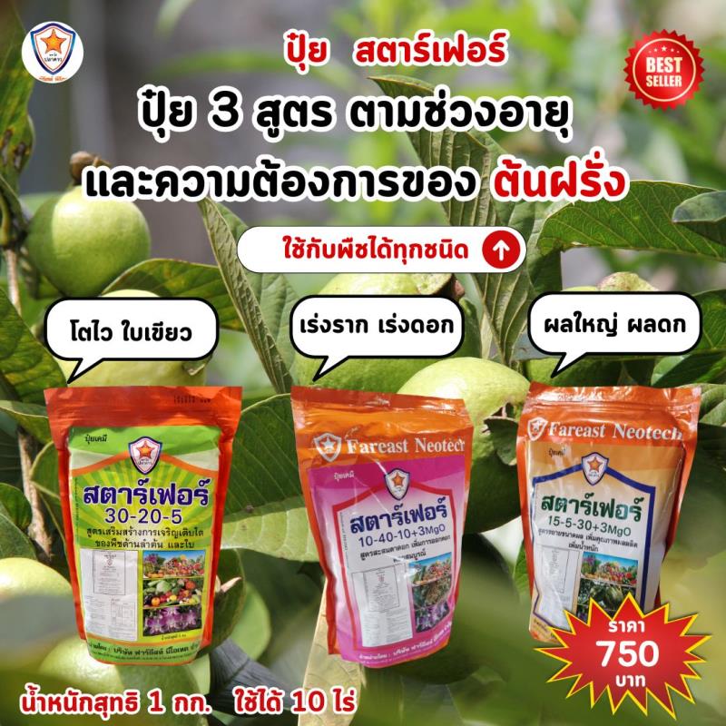 ปุ๋ยสตาร์เฟอร์ 3 สูตร: ช่วยให้ต้นฝรั่งของคุณเติบโตอย่างสมบูรณ์ในทุกช่วงอายุ