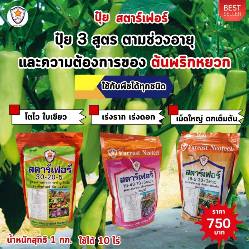  ปุ๋ยสตาร์เฟอร์ 3 สูตร: ให้พลังแก่ต้นพริกหยวกทุกช่วงอายุ โตไว ใบเขียว เร่งราก เร่งดอก เมล็ดใหญ่ ดกเต็มต้น