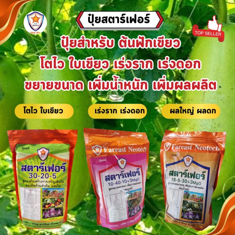 ปุ๋ยสตาร์เฟอร์ 3 สูตร: เพิ่มประสิทธิภาพการเจริญเติบโตของต้นฟักเขียว