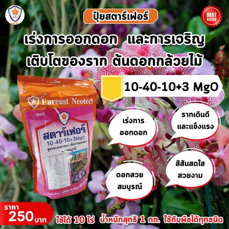 ปุ๋ยสตาร์เฟอร์ สูตร 10-40-10+3 MgO: สู่การออกดอกอันงดงามของกล้วยไม้ด้วยสารอาหารที่เพิ่มพลังการออกดอกและเร่งราก